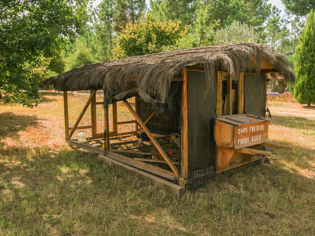 Chao Do Rio - Turismo De Aldeia Landhaus *