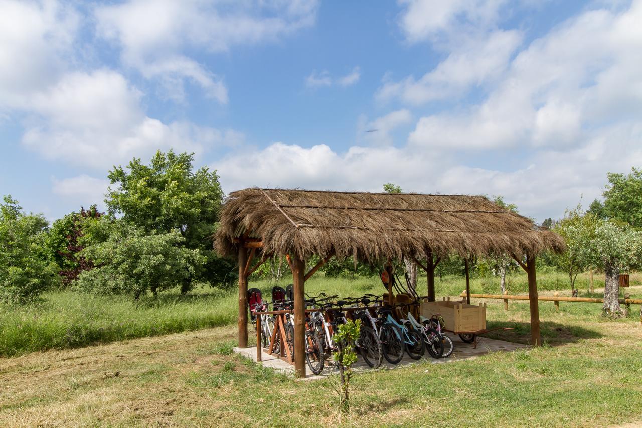 Landhaus Chao Do Rio - Turismo De Aldeia Seia